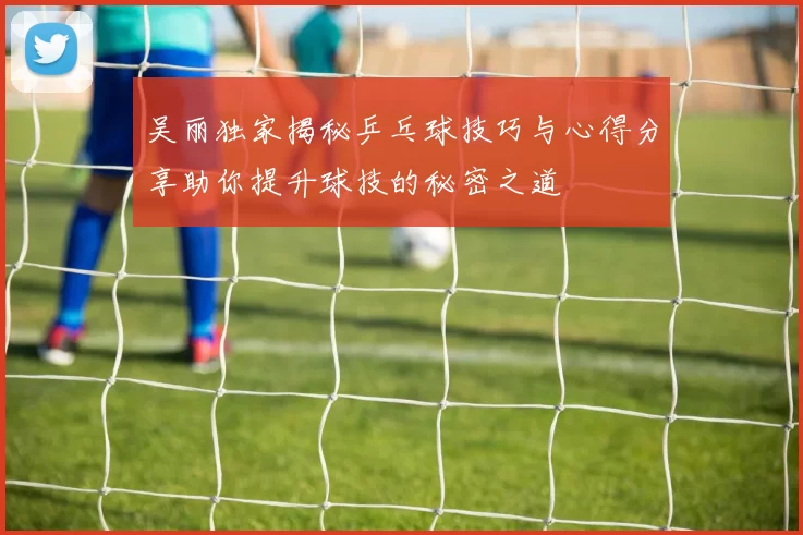 吴丽独家揭秘乒乓球技巧与心得分享助你提升球技的秘密之道