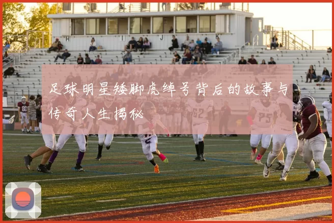 足球明星矮脚虎绰号背后的故事与传奇人生揭秘