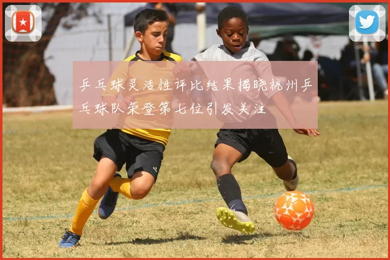 乒乓球灵活性评比结果揭晓杭州乒乓球队荣登第七位引发关注