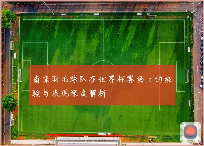 南京羽毛球队在世界杯赛场上的经验与表现深度解析