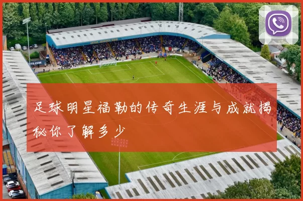 足球明星福勒的传奇生涯与成就揭秘你了解多少