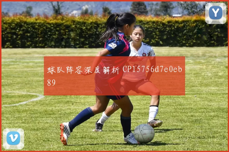 球队阵容深度解析 CP15756d7e0eb89