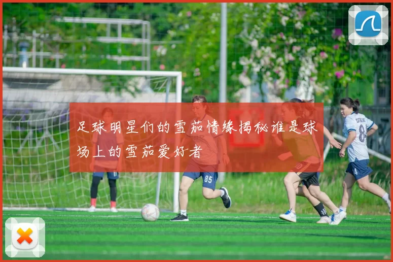 足球明星们的雪茄情缘揭秘谁是球场上的雪茄爱好者