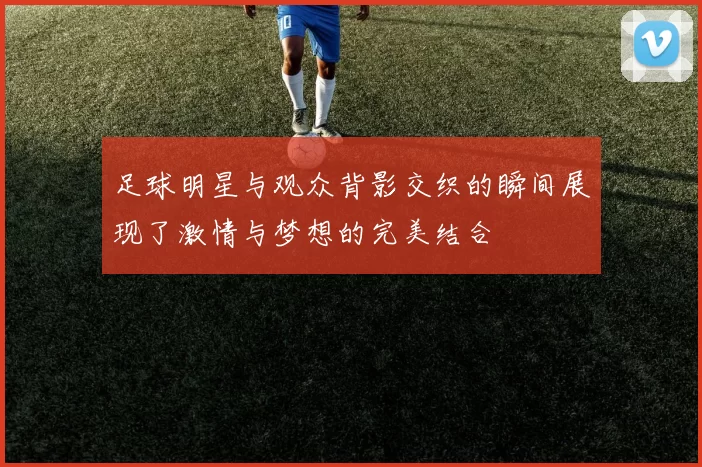 足球明星与观众背影交织的瞬间展现了激情与梦想的完美结合
