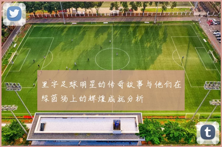 里字足球明星的传奇故事与他们在绿茵场上的辉煌成就分析