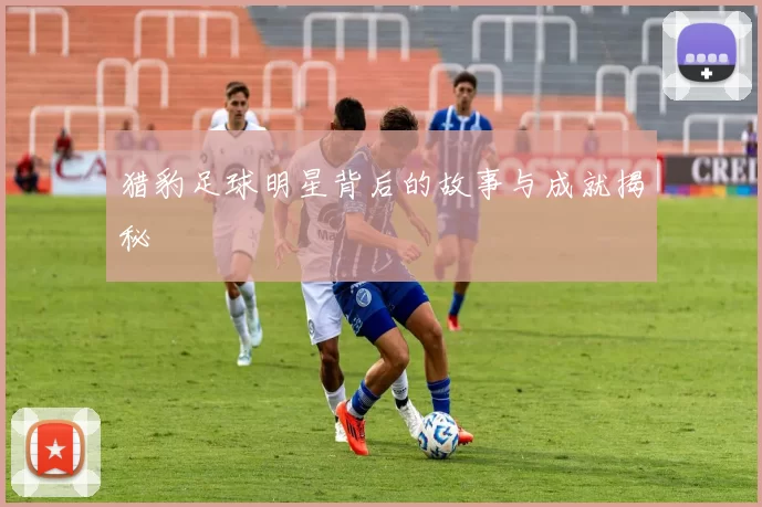 猎豹足球明星背后的故事与成就揭秘