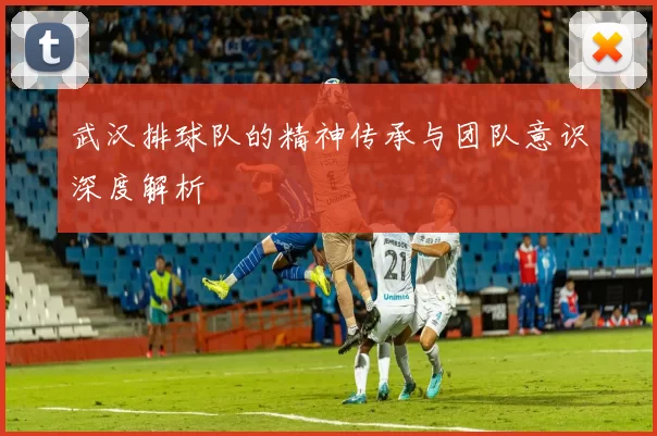 武汉排球队的精神传承与团队意识深度解析