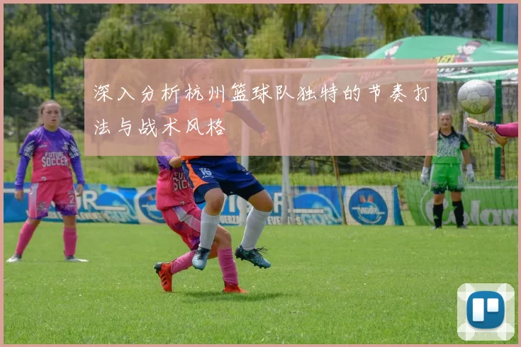 深入分析杭州篮球队独特的节奏打法与战术风格