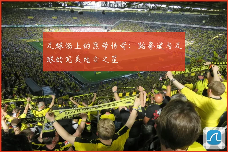 足球场上的黑带传奇：跆拳道与足球的完美结合之星