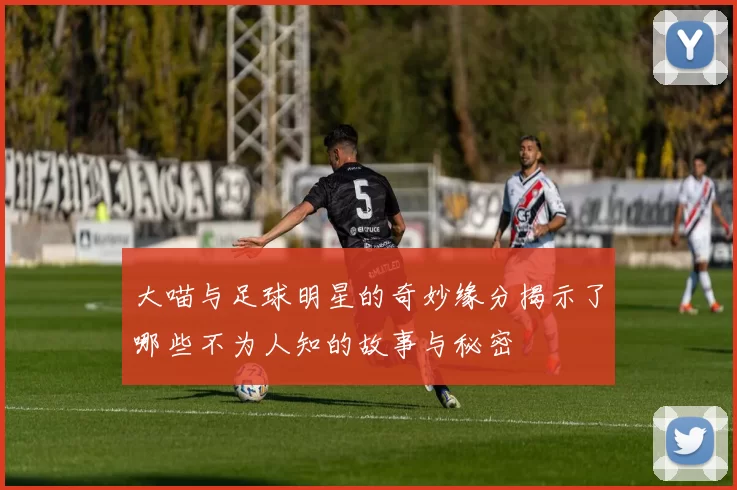 大喵与足球明星的奇妙缘分揭示了哪些不为人知的故事与秘密