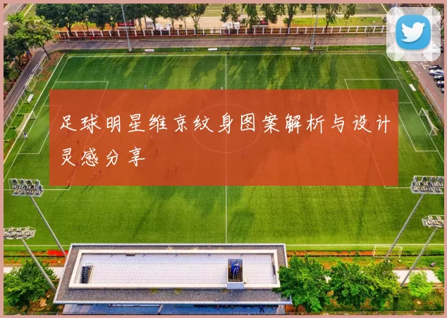 足球明星维京纹身图案解析与设计灵感分享